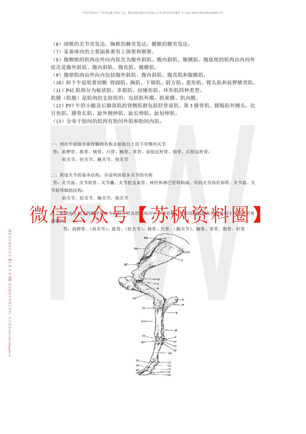 畜禽解剖学